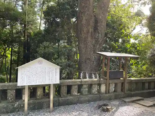 久能山東照宮(静岡県)