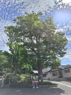 本別神社(北海道)