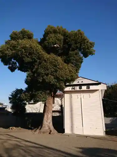 八幡神社の自然