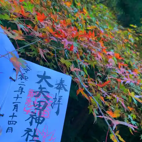 大矢田神社の自然