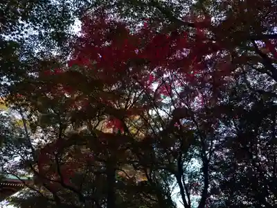 速谷神社(広島県)