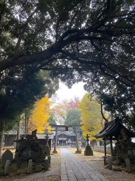 雀神社(茨城県)