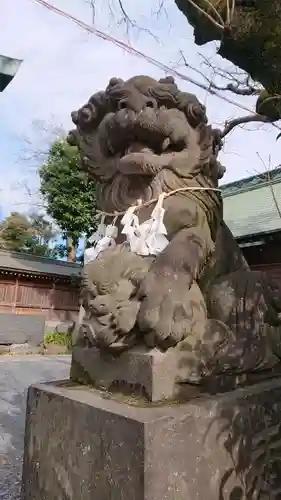 鳩ヶ谷氷川神社の狛犬