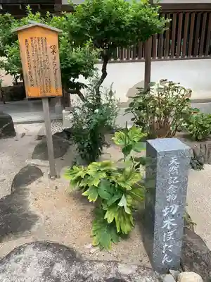 櫛田神社(福岡県)