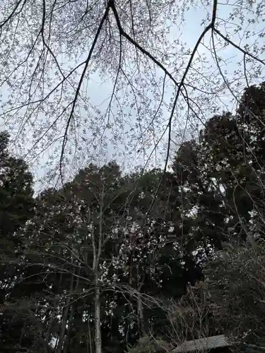 大宮温泉神社(栃木県)