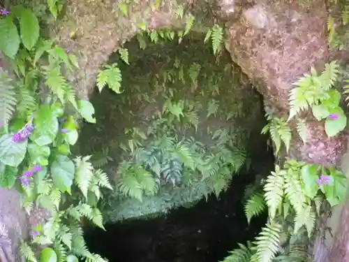 佐助稲荷神社の自然