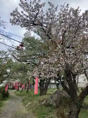 阿波々神社(静岡県)