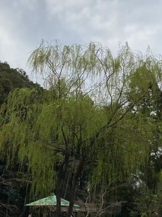 曹源寺(岡山県)