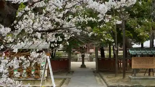 孫太郎稲荷神社（薬師寺境内社）の自然