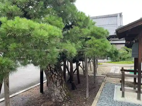 称念寺(京都府)