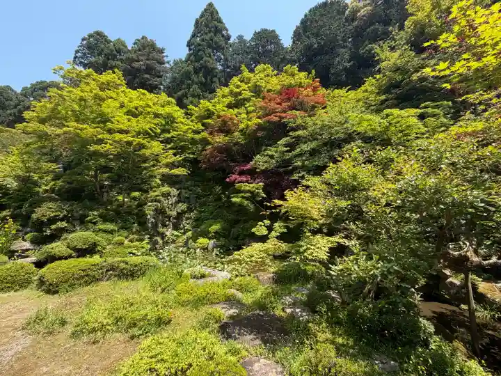 金剛輪寺の{uncategorized: "未分類", other: "その他", undefined: "問題あり", building: "その他建物", grave: "お墓", sacred_gate: "鳥居", guardian: "狛犬", statue: "像", buddha: "仏像", history: "歴史", nature: "自然", garden: "庭園", animal: "動物", pagoda: "塔", temizu: "手水舎", mountain_gate: "山門・神門", sanctuary: "本殿・本堂", subordinate: "末社・摂社", art: "芸術", scenery: "景色", jizo: "地蔵", ema: "絵馬", goshuin: "御朱印", omikuji: "おみくじ", items: "授与品その他", amulet: "お守り", goshuincho: "御朱印帳", eats: "食事", festival: "お祭り", votive_dance: "神楽", shichigosan: "七五三参", wedding: "結婚式", experience: "体験その他", initially: "初詣", around: "周辺", anti_infection: "感染症対策"}