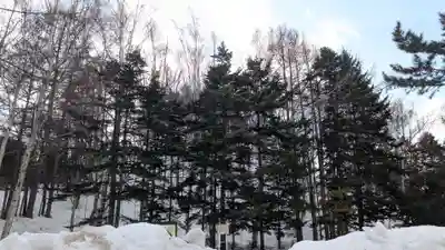 平岸天満宮・太平山三吉神社の自然