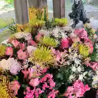 彌彦神社 (伊夜日子神社)の手水舎