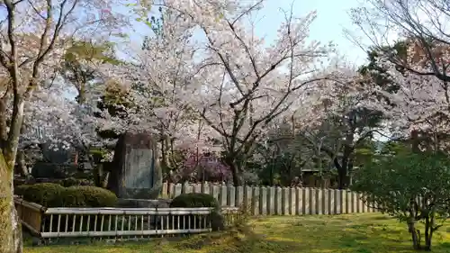 大覚寺の庭園