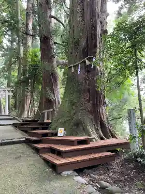 白山比咩神社(石川県)