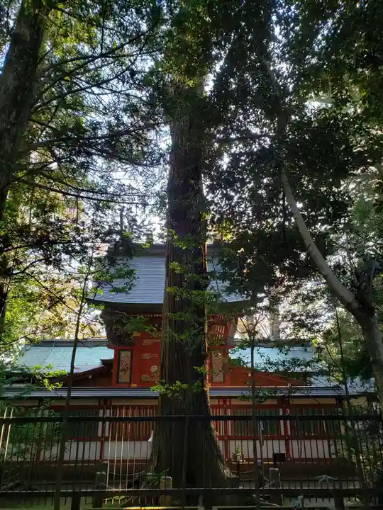一言主神社のその他建物