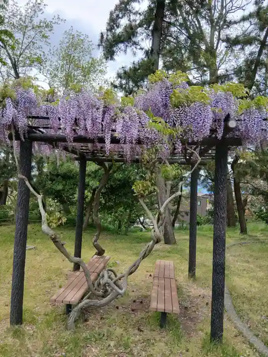 山の下神明宮(新潟県)