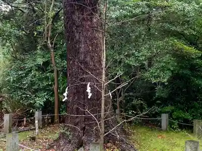 忍　諏訪神社・東照宮　の自然