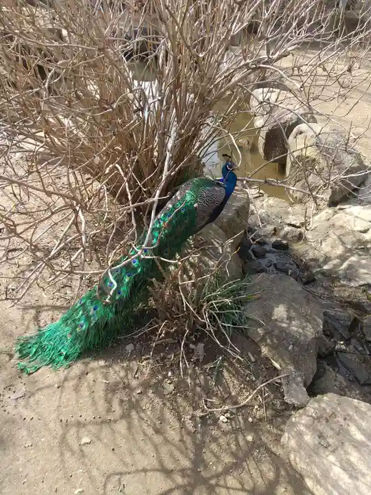 楽法寺(雨引観音)(茨城県)