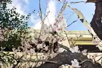 くまくま神社(導きの社 熊野町熊野神社)の自然