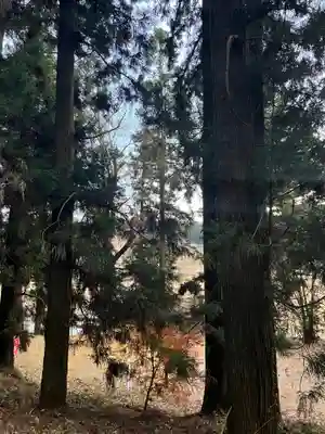 大宮温泉神社(栃木県)