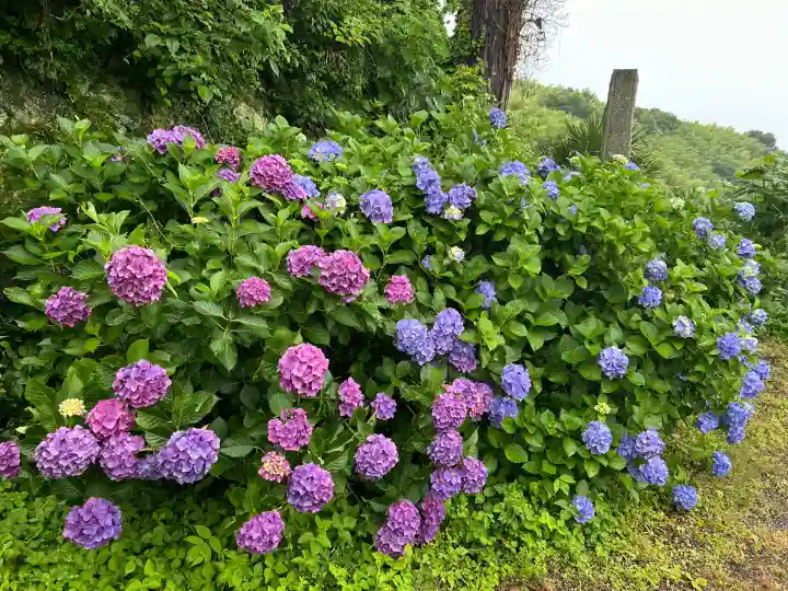 粟井神社(香川県)