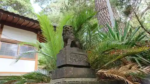 雲見浅間神社の狛犬