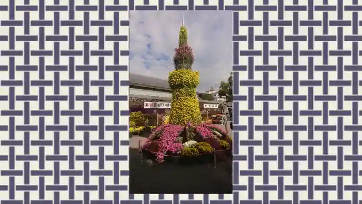 亀戸天神社(東京都)