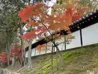 東福禅寺(東福寺)(京都府)