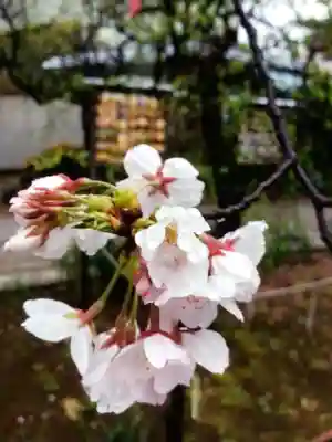 鳩森八幡神社(東京都)