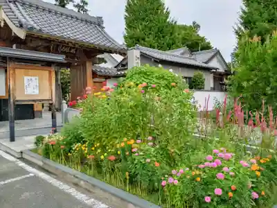 修善寺(愛知県)