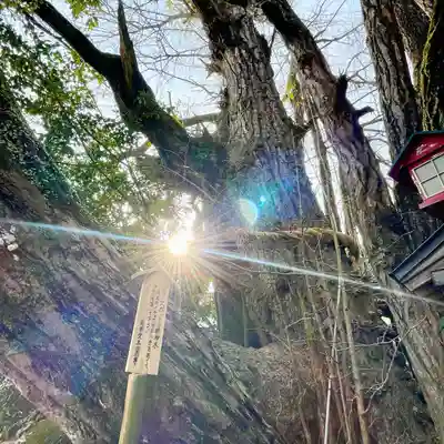 高塚愛宕地蔵尊(大分県)