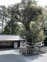 井伊谷宮(静岡県)