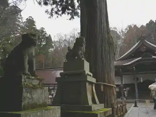 戸隠神社中社の狛犬