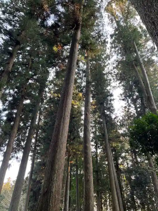 大宮温泉神社(栃木県)