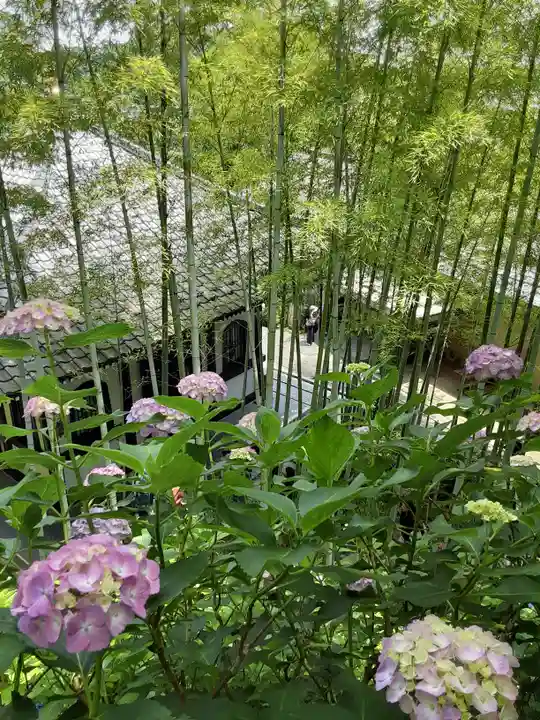 長谷寺(神奈川県)