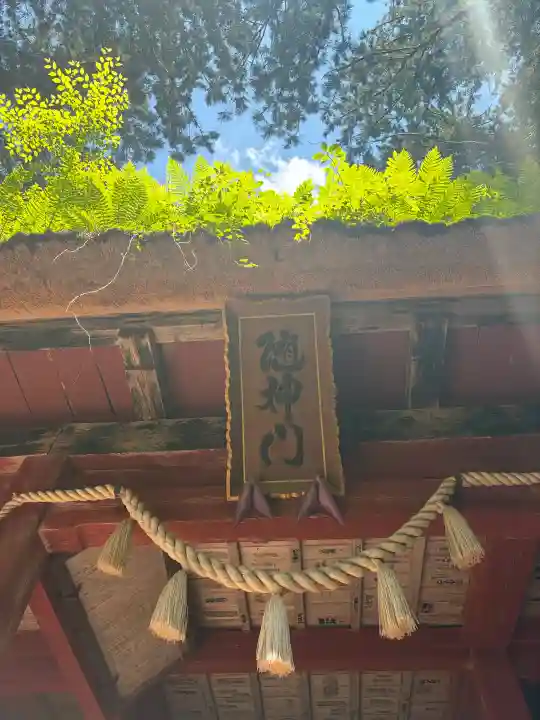 戸隠神社奥社(長野県)