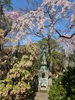 中院(埼玉県)