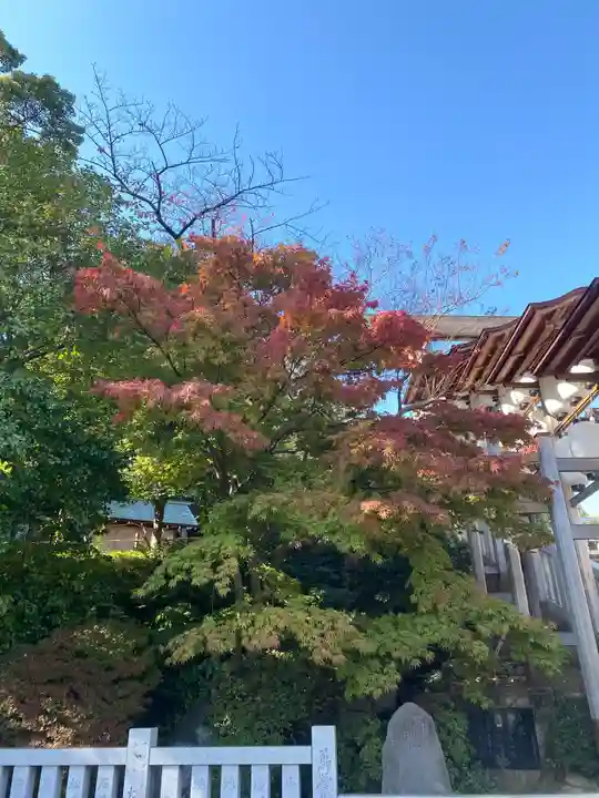 伊勢山皇大神宮の自然