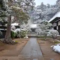 円覚寺の{uncategorized: "未分類", other: "その他", undefined: "問題あり", building: "その他建物", grave: "お墓", sacred_gate: "鳥居", guardian: "狛犬", statue: "像", buddha: "仏像", history: "歴史", nature: "自然", garden: "庭園", animal: "動物", pagoda: "塔", temizu: "手水舎", mountain_gate: "山門・神門", sanctuary: "本殿・本堂", subordinate: "末社・摂社", art: "芸術", scenery: "景色", jizo: "地蔵", ema: "絵馬", goshuin: "御朱印", omikuji: "おみくじ", items: "授与品その他", amulet: "お守り", goshuincho: "御朱印帳", eats: "食事", festival: "お祭り", votive_dance: "神楽", shichigosan: "七五三参", wedding: "結婚式", experience: "体験その他", initially: "初詣", around: "周辺", anti_infection: "感染症対策"}
