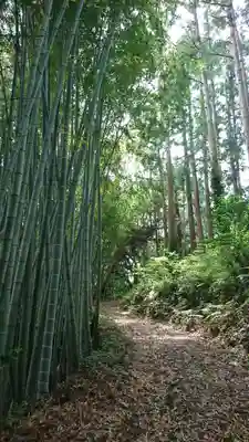 笹原神社の自然