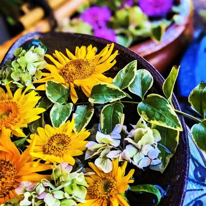 札幌護國神社の手水舎