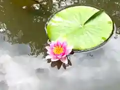 前山寺(長野県)