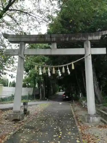 安房神社の鳥居