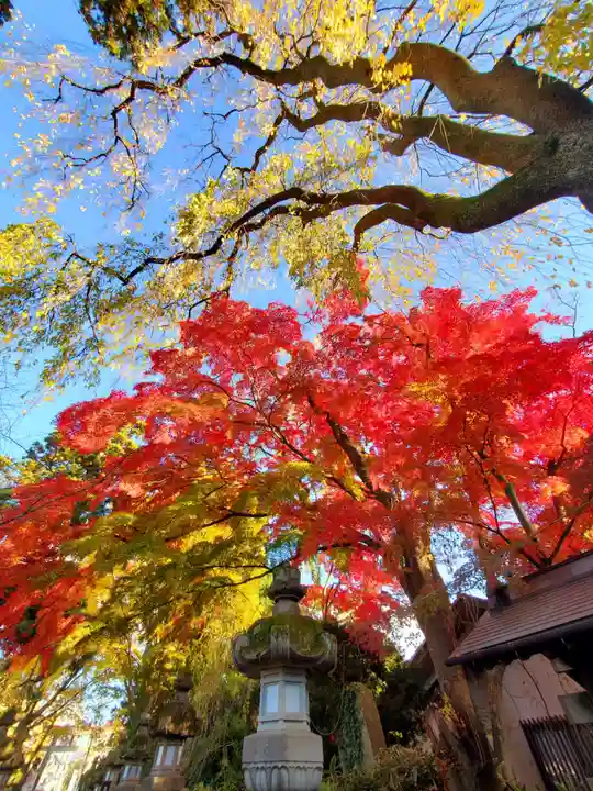 神炊館神社 ⁂奥州須賀川総鎮守⁂(福島県)