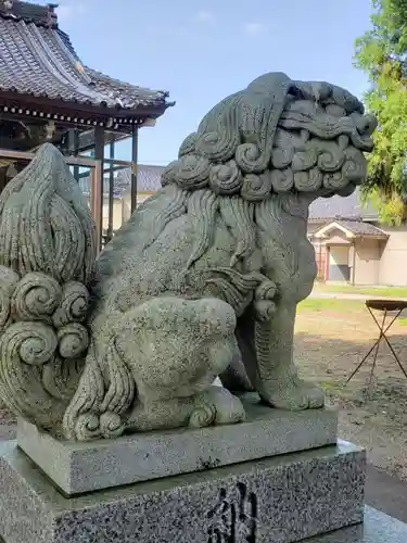 白山比咩神社の狛犬