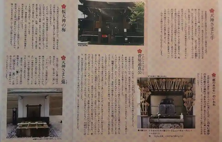 櫻天神社(愛知県)