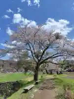 鏡山湯泉神社(栃木県)