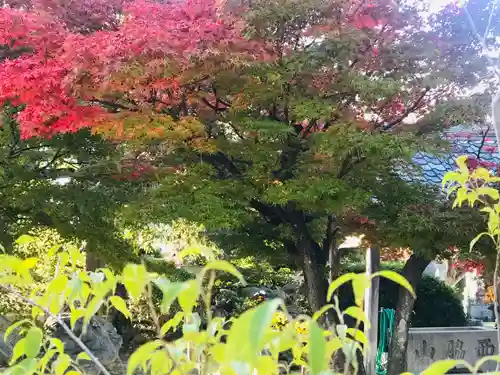 普元寺の庭園