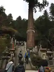 由岐神社の建物その他